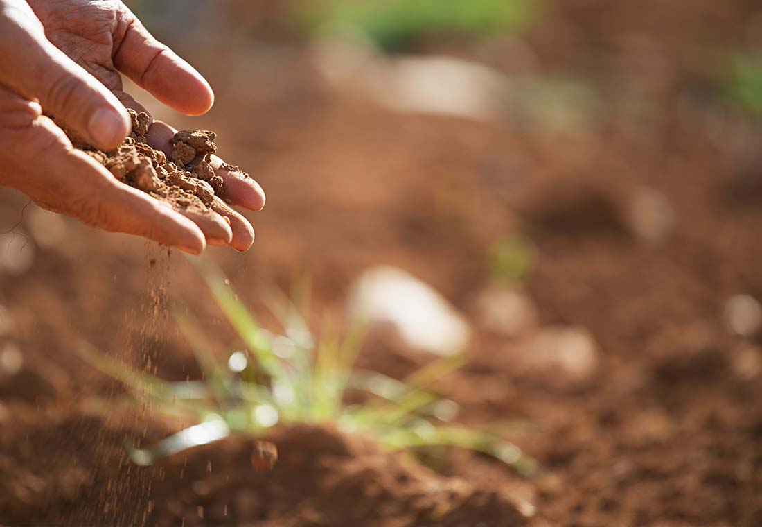 photo of farmers hands in soil